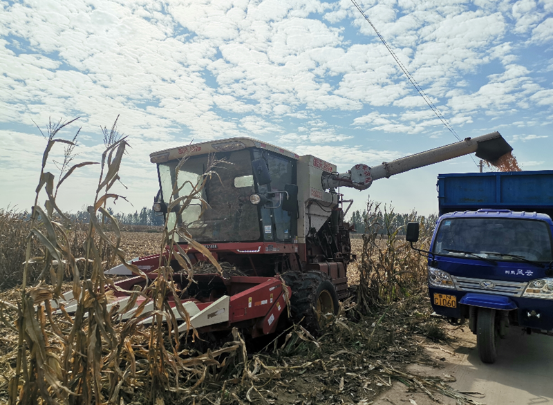 濰柴雷沃重工：汛中搶糧，展現(xiàn)減損“農(nóng)機(jī)力量”