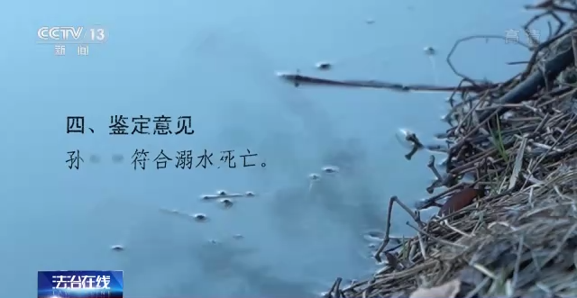 间接故意杀人罪,