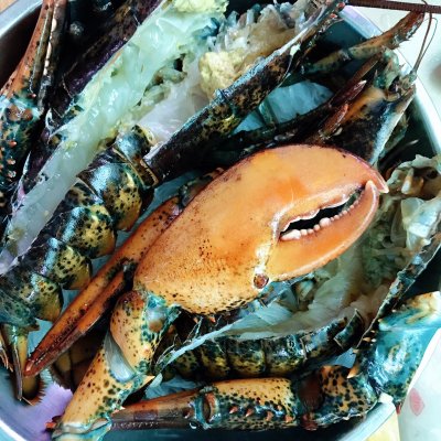 蒜蓉淸蒸大龙虾怎么做（蒜蓉粉丝蒸波士顿龙虾教程）