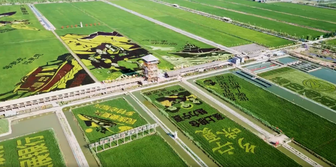 这里是宁夏——银川！