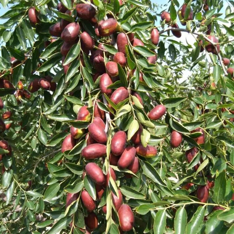 这里是宁夏——银川！