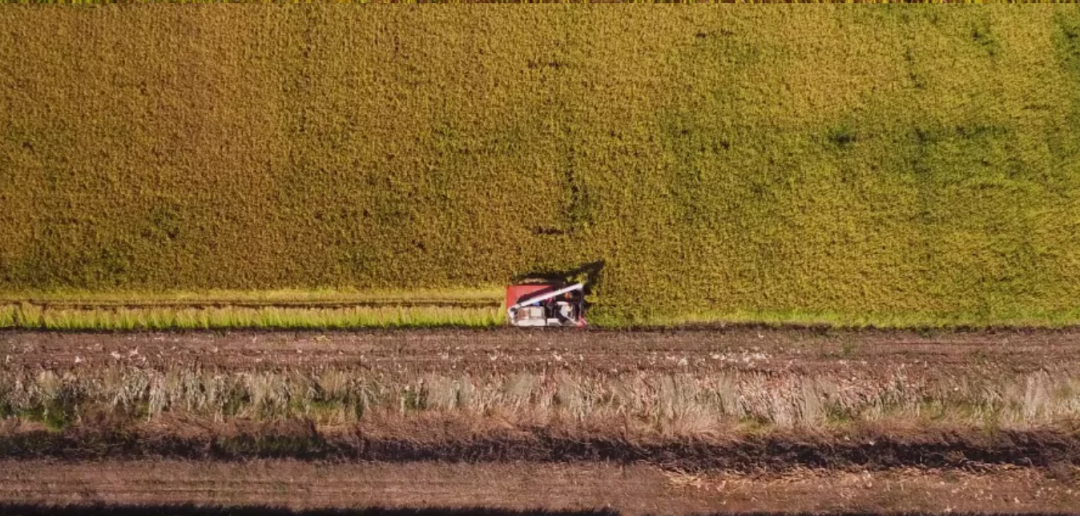 这里是宁夏——银川！