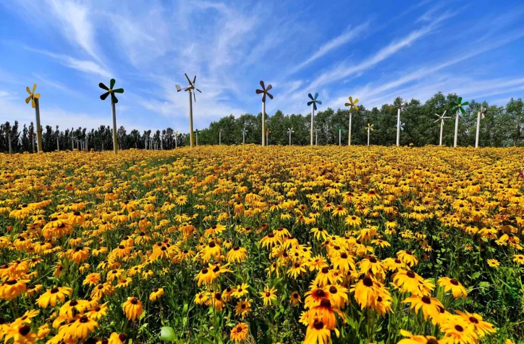 这里是宁夏——银川！