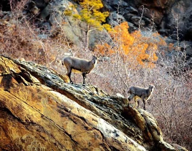 这里是宁夏——银川！
