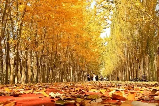 这里是宁夏——银川！