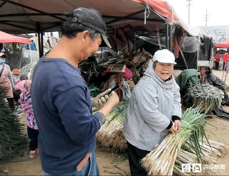 从农田到餐桌，记者探寻平价葱摇身变成“向钱葱”的前因后果