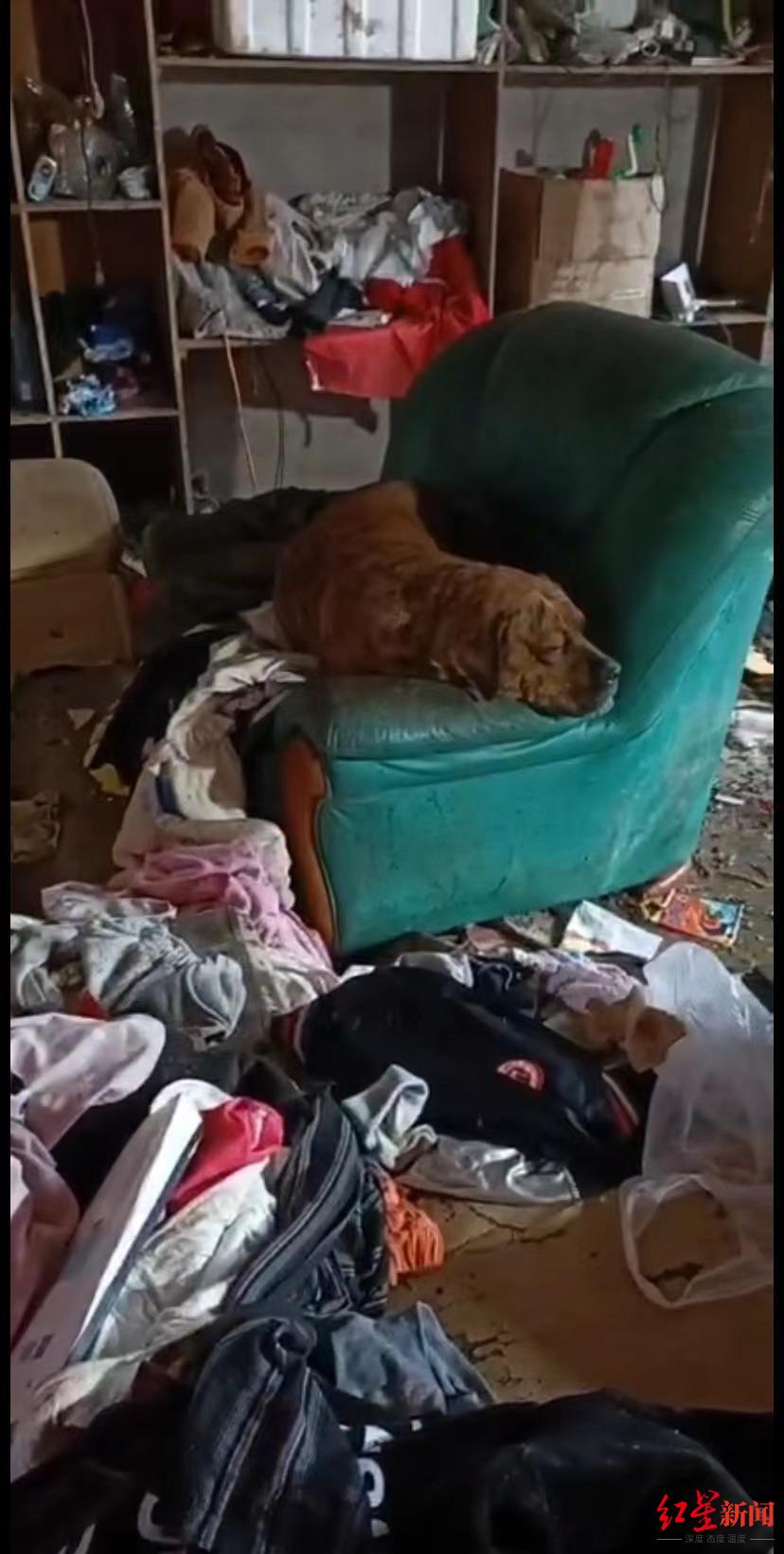 网传湖南一女婴住垃圾堆脸上苍蝇乱飞 县妇联：已采取帮扶措施