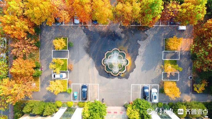 金色满园落叶缤纷！秋日美景上线，济南这所大学美出了圈