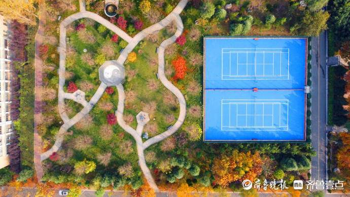 金色满园落叶缤纷！秋日美景上线，济南这所大学美出了圈