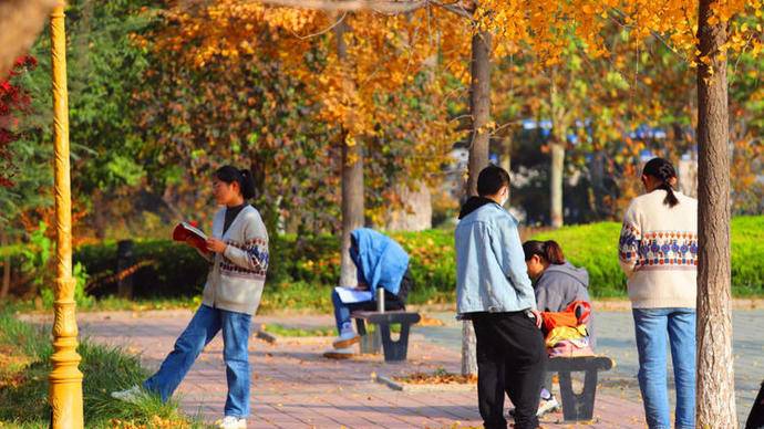 金色满园落叶缤纷！秋日美景上线，济南这所大学美出了圈