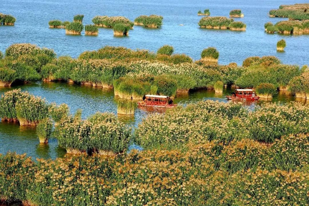 银川沙湖旅游攻略(线上游宁夏) - 悦闻天下