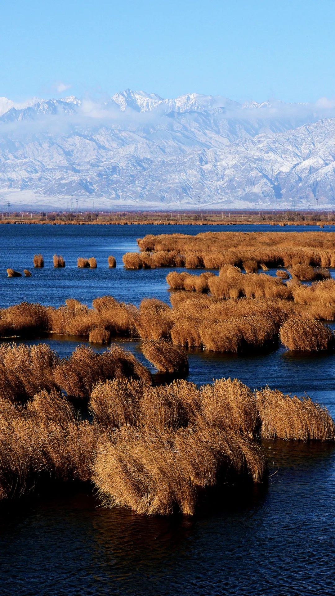银川沙湖旅游攻略(线上游宁夏) - 悦闻天下