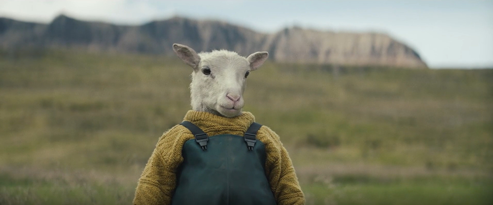 《羊崽》:这部冰岛冲奥片，再次加深了北欧的刻板印象