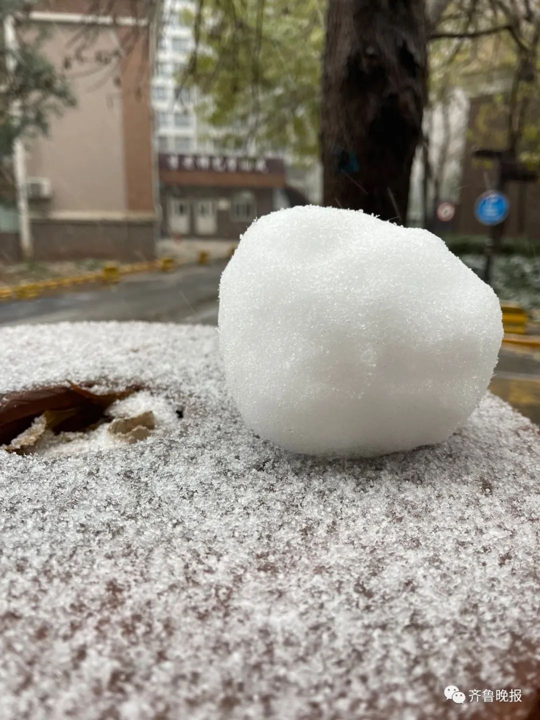 初雪已“到账”!济南、德州、聊城...多地“勇闯天涯”,朋友圈“全白了”