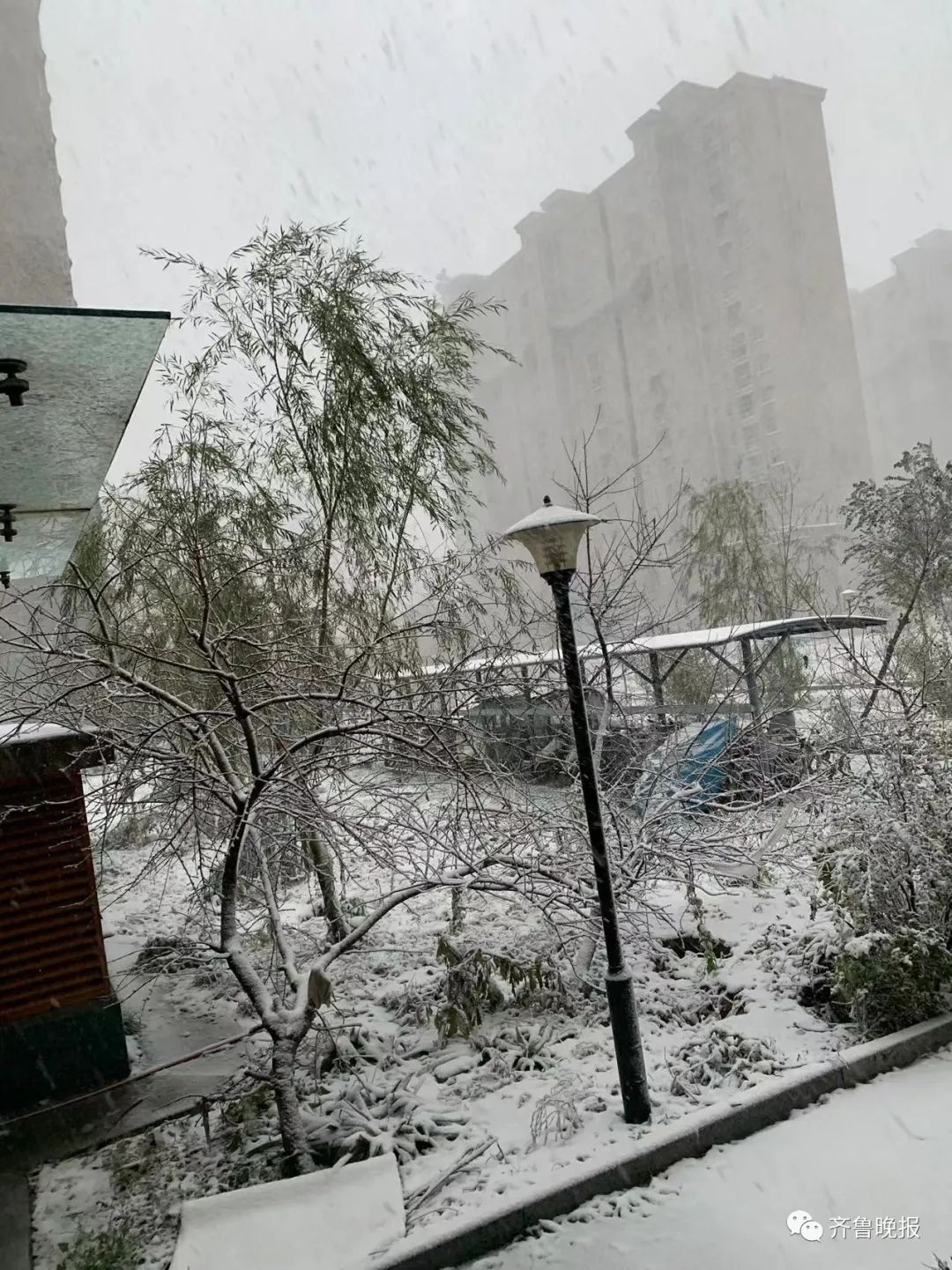 初雪已“到账”!济南、德州、聊城...多地“勇闯天涯”,朋友圈“全白了”