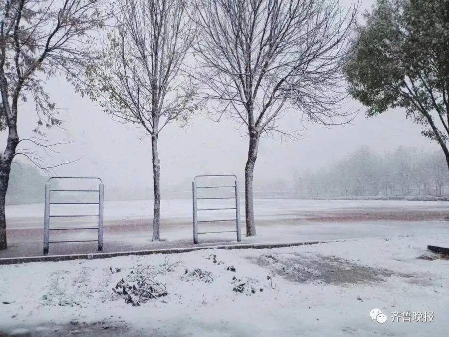 初雪已“到账”!济南、德州、聊城...多地“勇闯天涯”,朋友圈“全白了”