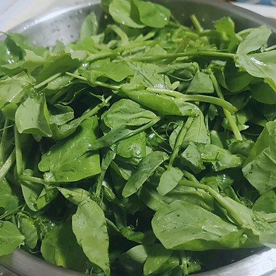 豌豆尖的功效与作用（季节限定豌豆尖蛋汤没人能抗拒）
