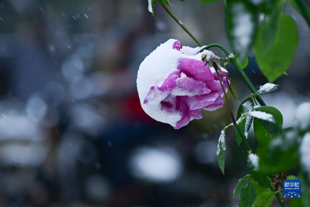 北京降雪