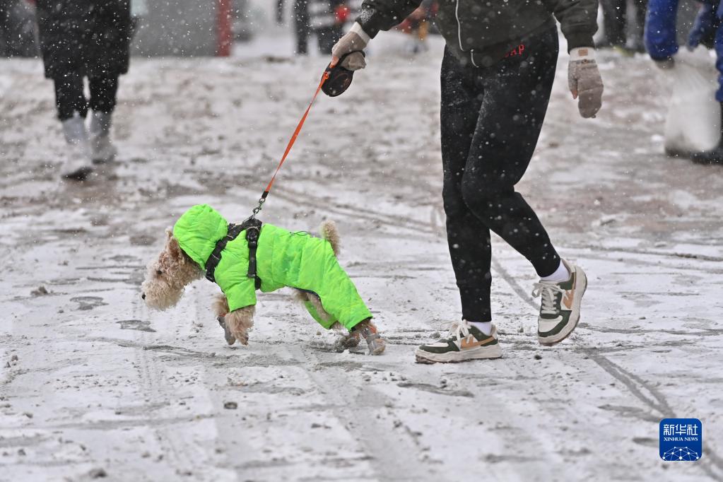 北京降雪