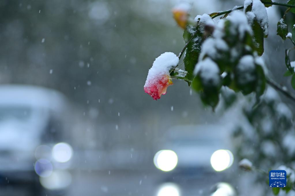 北京降雪