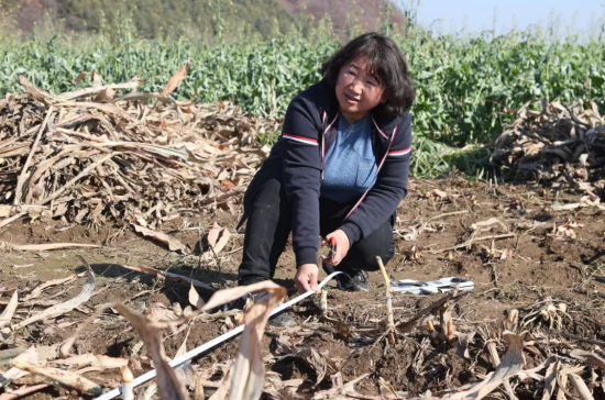 高粱產地,高粱產地在什么地方最多