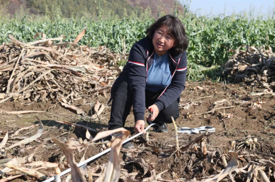 高粱产地,高粱产地在什么地方最多