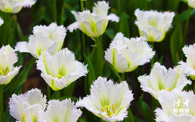 《月亮与六便士》：活着最大的魅力，是你怎么选，都会后悔