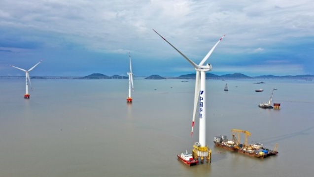 进博会上绿色元素随处可见，外企与中国战略同频共振