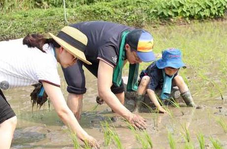 郭晶晶儿子叫什么(霍启刚郭晶晶一家做公益，8岁儿子帅气可爱又卖力，这才是真正的豪门)