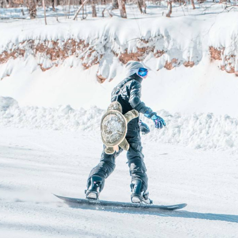 地理练习道和滑雪道的划分依据(滑雪旅游度假地等级发布！这份湖北超全玩雪指南，快收藏)