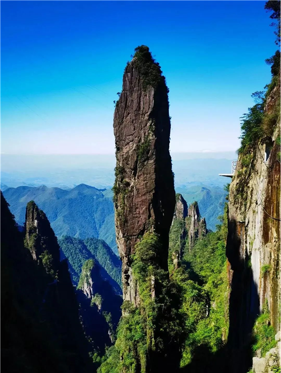 秋天里的收货（冬天收到礼物）