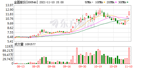 金圆集团股份有限公司股票