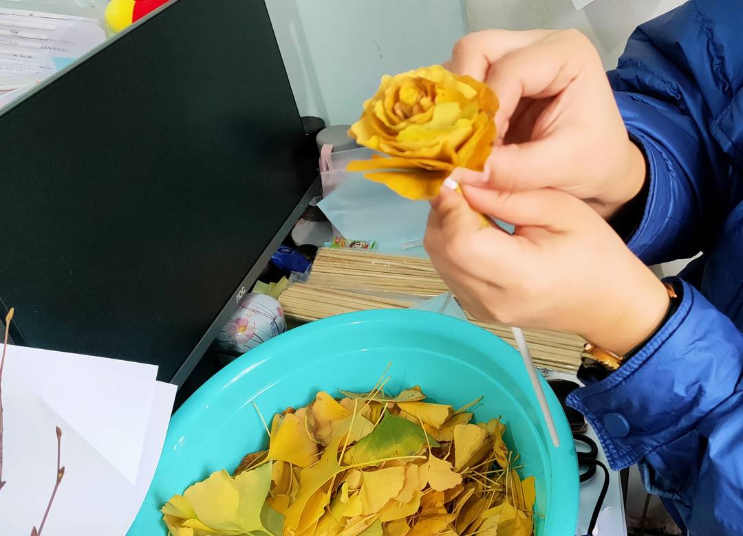 用那抹暖色温暖彼此 成都龙泉驿防疫志愿者与居民互赠“银杏礼物”