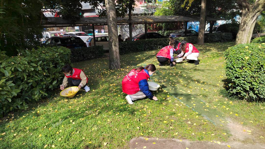 用那抹暖色温暖彼此 成都龙泉驿防疫志愿者与居民互赠“银杏礼物”