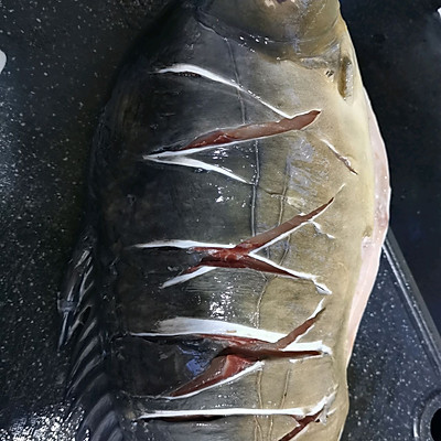 清燉魚的家常做法,清燉魚的家常做法鯉魚