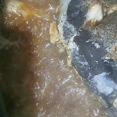 清燉魚的家常做法,清燉魚的家常做法鯉魚