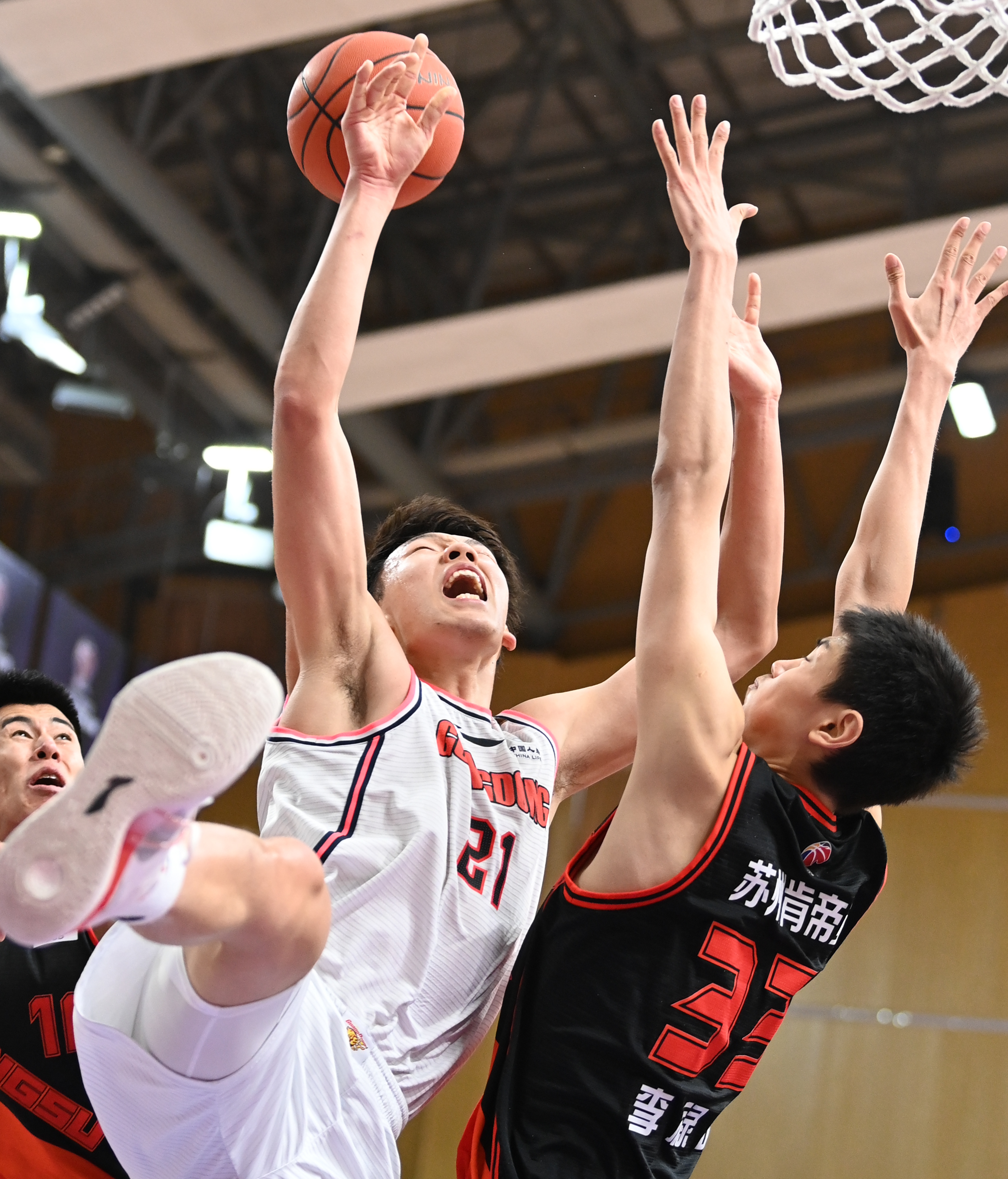 篮球——CBA第一阶段：广东东莞大益胜苏州肯帝亚