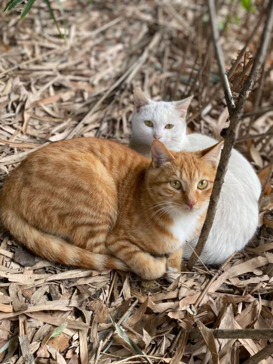 入校初体验，我们在南铁挺好的！