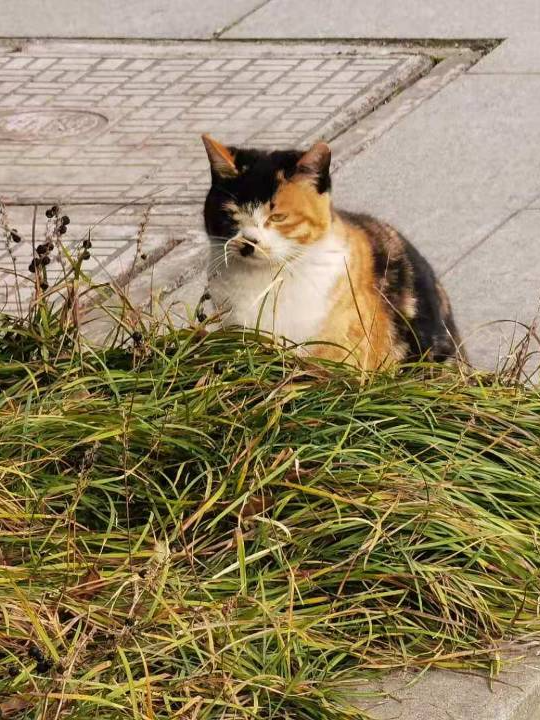 入校初体验，我们在南铁挺好的！