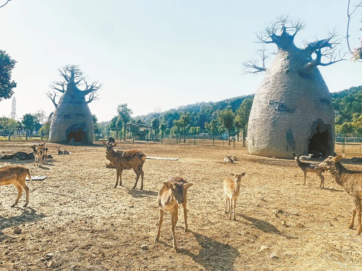 动物是怎样过冬的（动物御寒的方法有哪些）