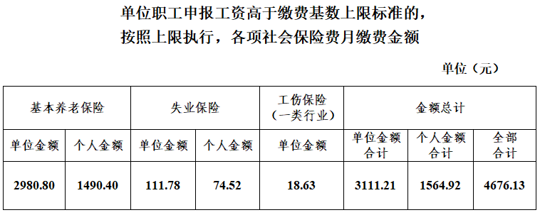 成都社保个人查询,成都社保个人查询明细