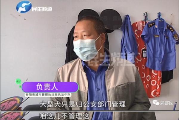 大狗咬伤老人，主人耍无赖！9期节目仍未解决，记者被气哭！央媒：拿他没辙？