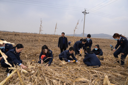 西安地方税务局,西安地方税务局网站