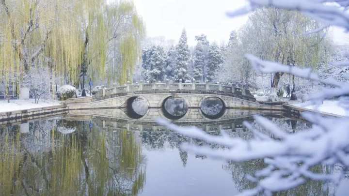 最是橙黄橘绿时！大学校园里秋意浓，快来一起晒晒吧