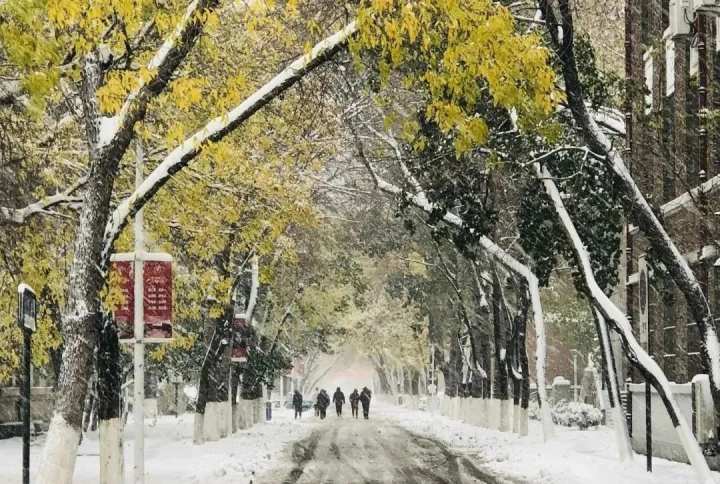 最是橙黄橘绿时！大学校园里秋意浓，快来一起晒晒吧