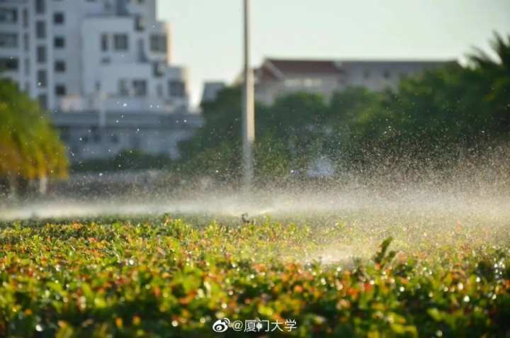 最是橙黄橘绿时！大学校园里秋意浓，快来一起晒晒吧