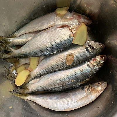 海鲫鱼怎么做好吃（酱焖海鲫鱼的用料和烹饪教程）