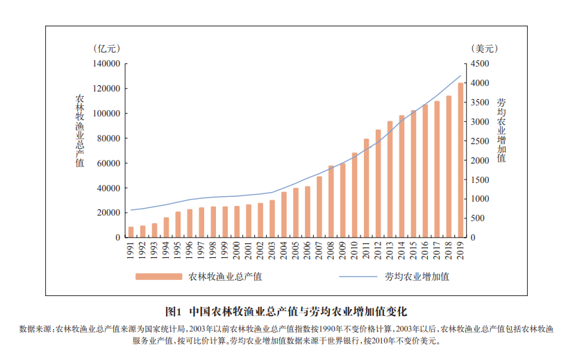 面向2035年的中国农业现代化战略