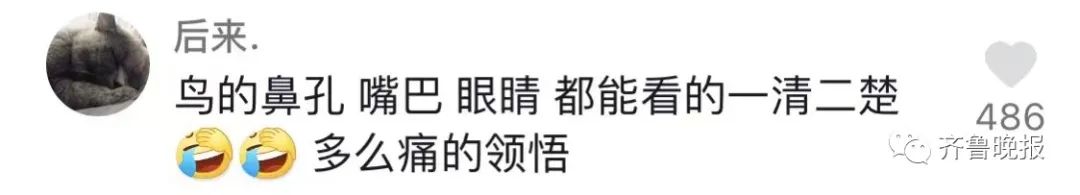 济南一居民花600元擦玻璃，回家发现“惊喜”！网友：心疼又好笑…