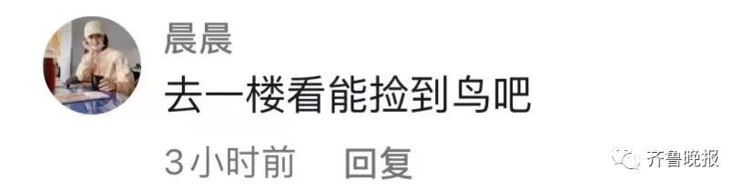 济南一居民花600元擦玻璃，回家发现“惊喜”！网友：心疼又好笑…